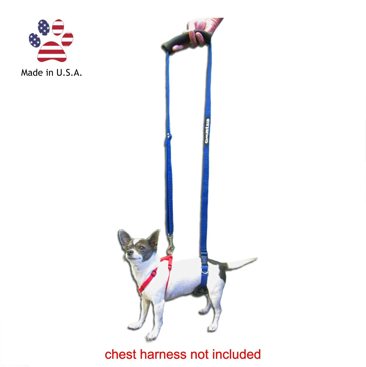 GingerLead older dogs stairs assist for safer climbs.