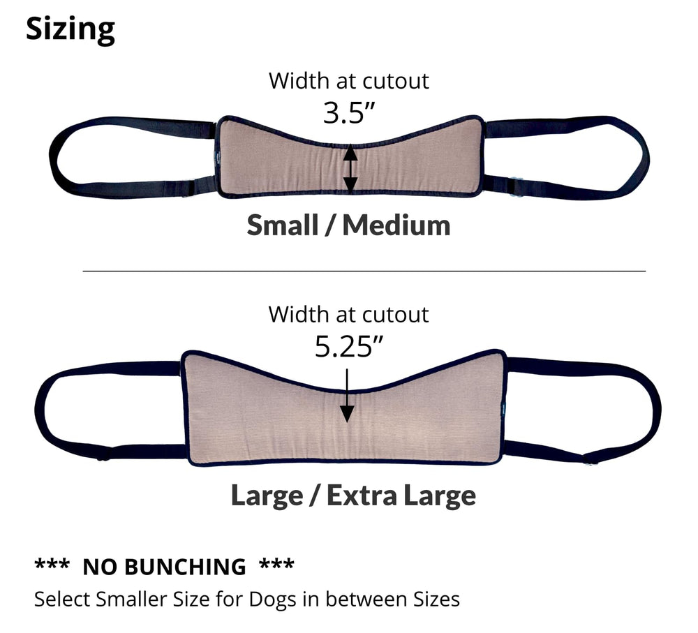 GingerLead padded harness offers a comfortable ergonomic fit for assisted stepping