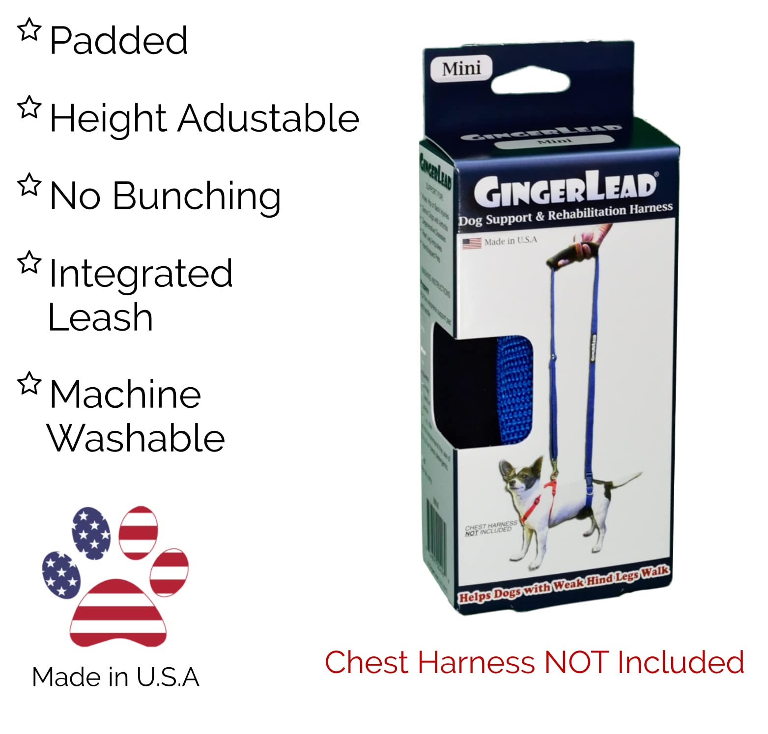 GingerLead padded neoprene comfort for safe lifting and daily use.
