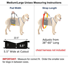 GingerLead rear sling harness fit check demonstrates proper sizing for secure support.