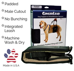 GingerLead rear sling harness in-use shows integrated leash for hands-free control.