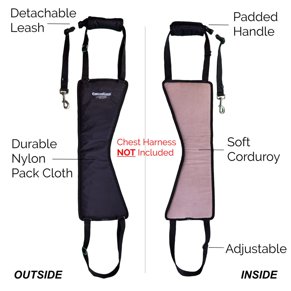 GingerLead padded-hip area highlights comfort during recovery and daily aid.
