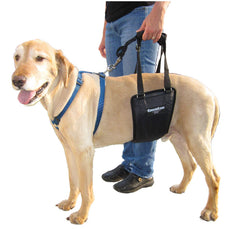 GingerLead rear sling harness side view shows fit for large dogs aiding mobility.