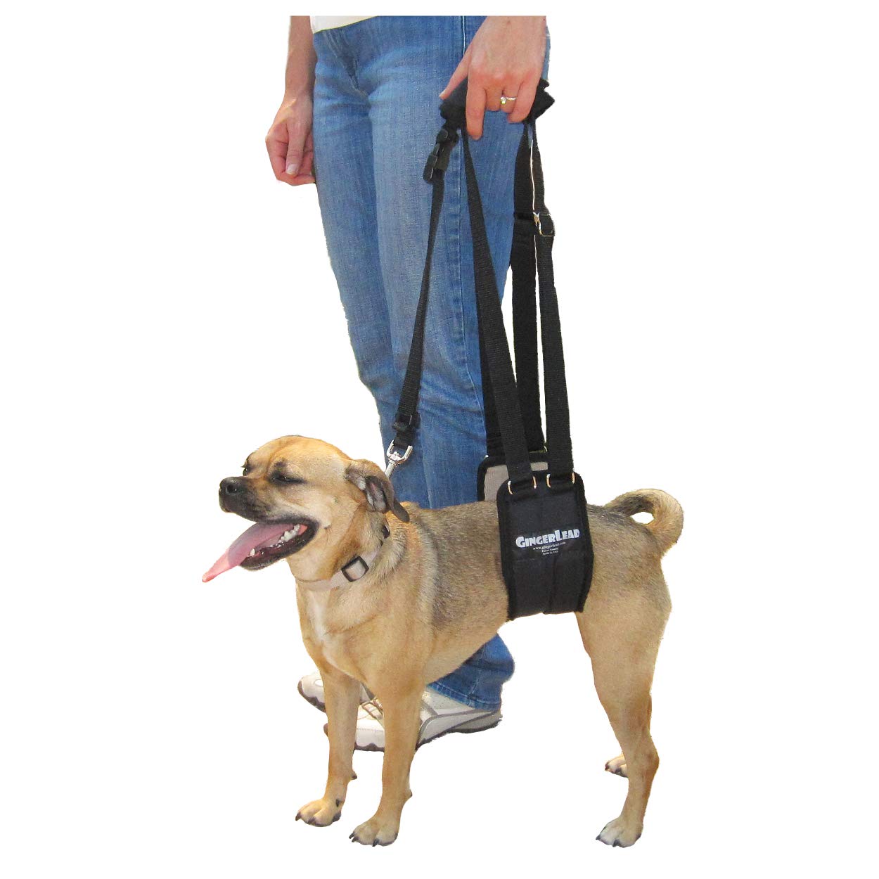 GingerLead sling-harness front view showing padded support for gentle lifting