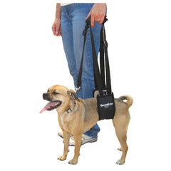 GingerLead sling-harness front view showing padded support for gentle lifting