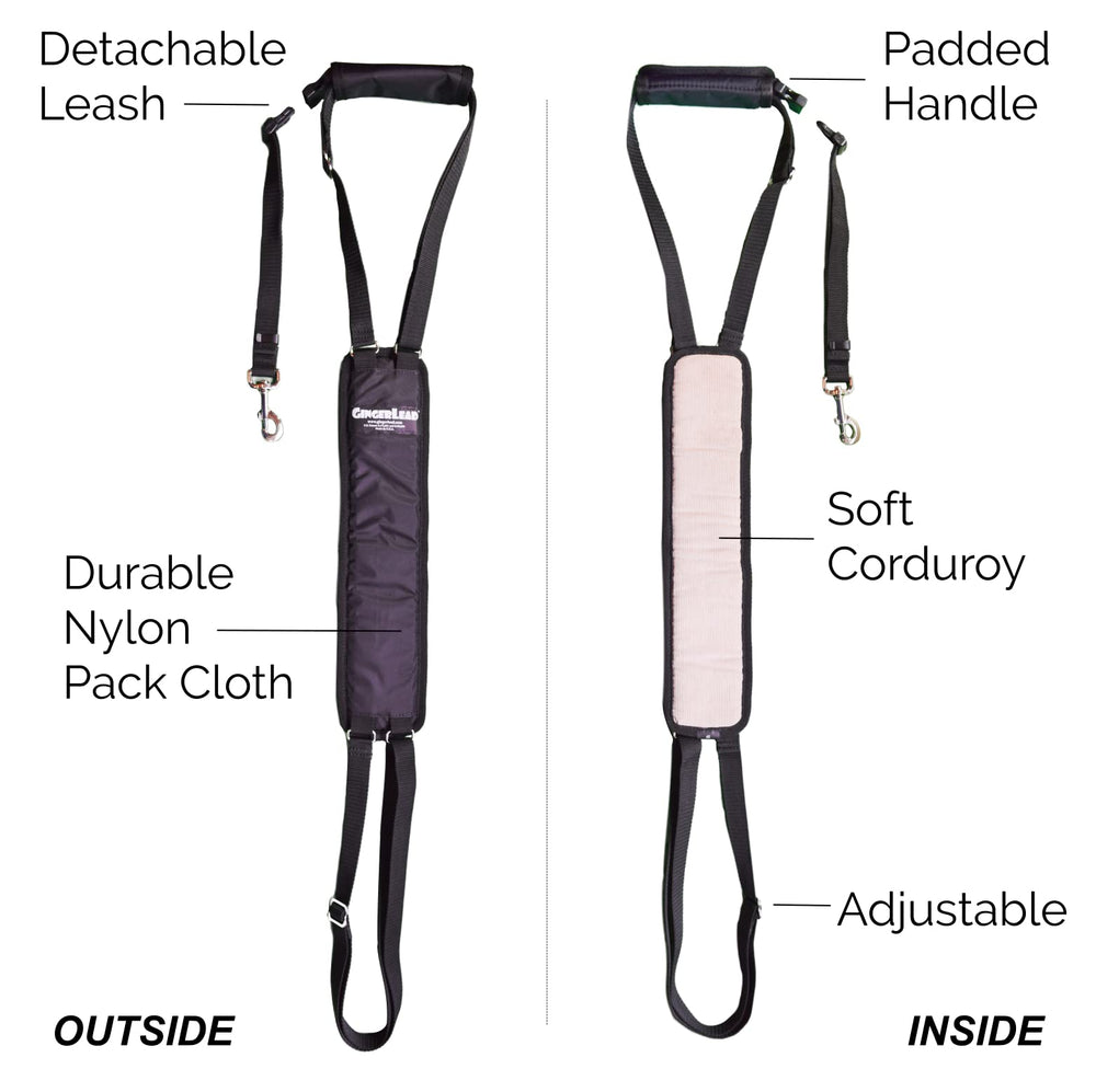 GingerLead sling-harness leash-attachment demonstrates integrated leash for control