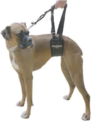 GingerLead sling-harness padding-detail shows soft corduroy lining for comfort
