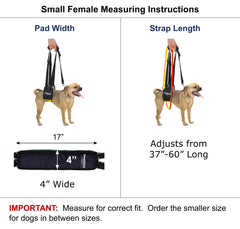 GingerLead sling-harness side view with adjustable height for comfortable assist