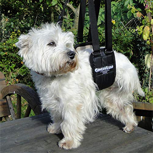 GingerLead sling-harness-washable demonstrates machine washable construction