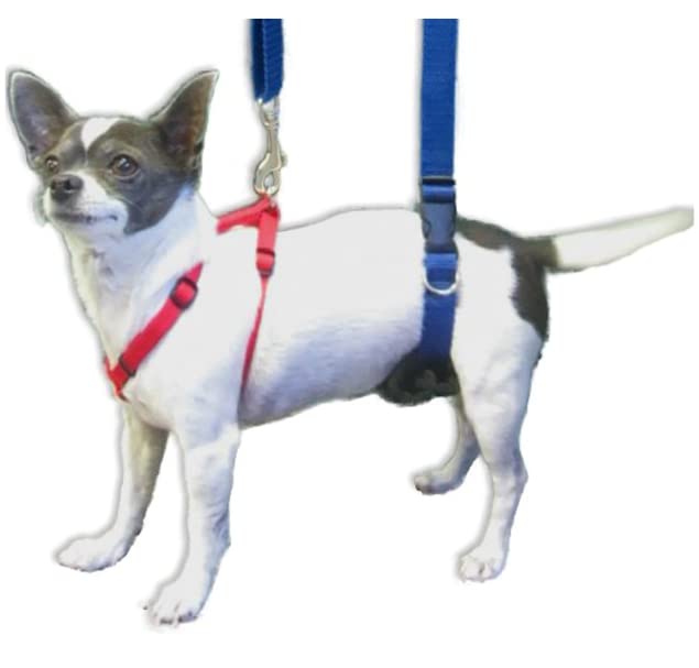 GingerLead sling length adjusts from 28 to 69 inches.