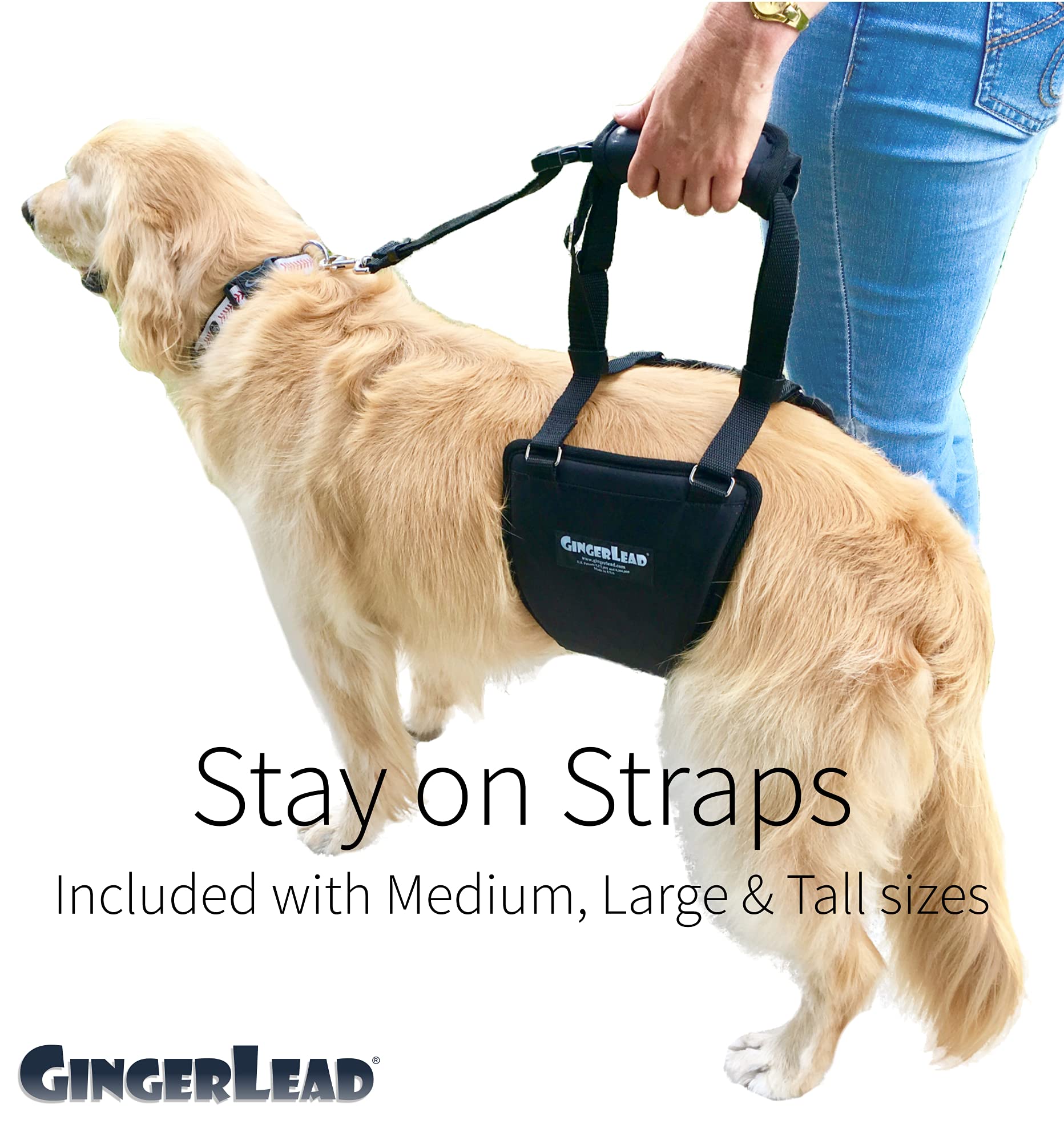 GingerLead stairs-access use image highlights easier indoor transitions for tall dogs.
