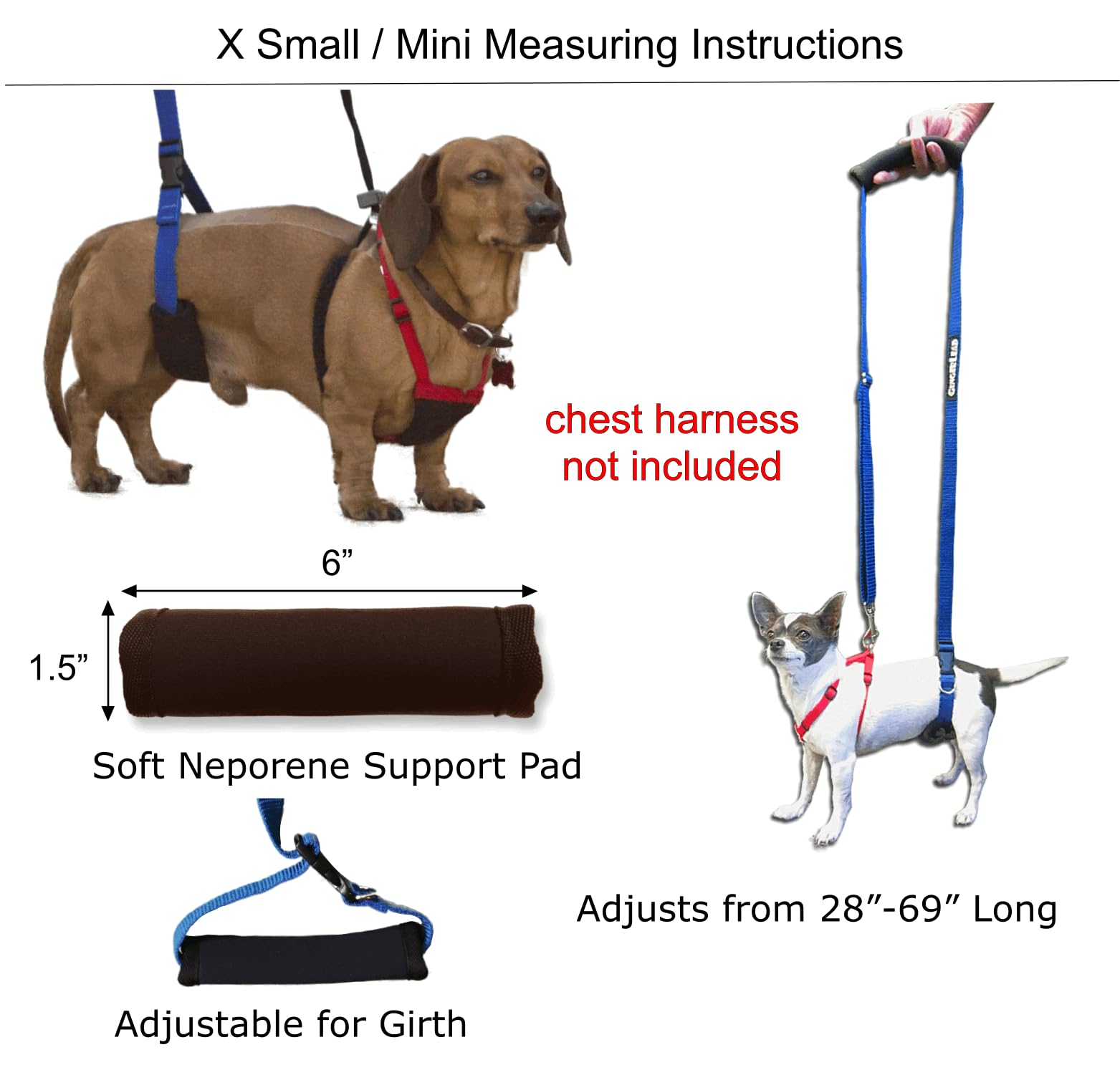 GingerLead XS dachshund IVDD support for gentle mobility.