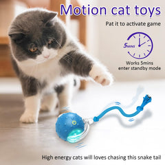 Giociv ball blue fast mode for high-energy play.