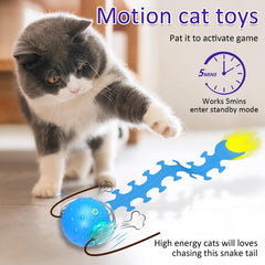 giociv cat toy ball rolling across carpet shows smooth motion and durability