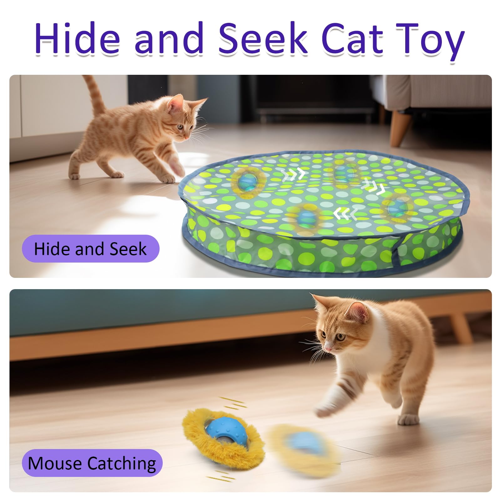 Giociv Halloween party cat play idea with moving ball under cover.