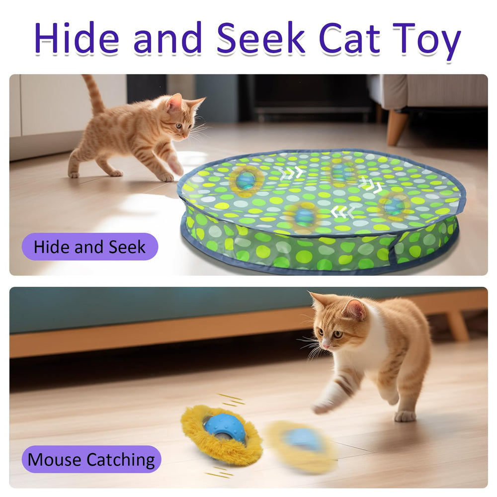 Giociv Halloween party cat play idea with moving ball under cover.