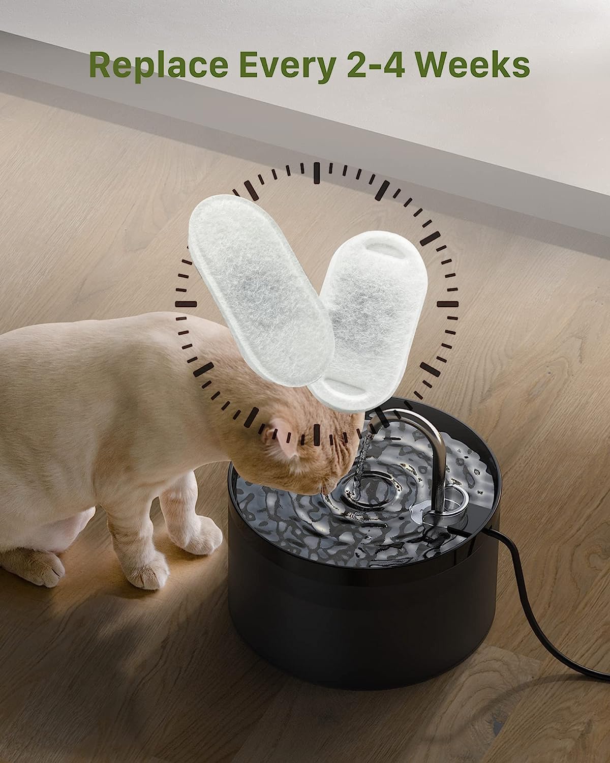 GIOTOHUN water in use — filter helps maintain fresh water for pets