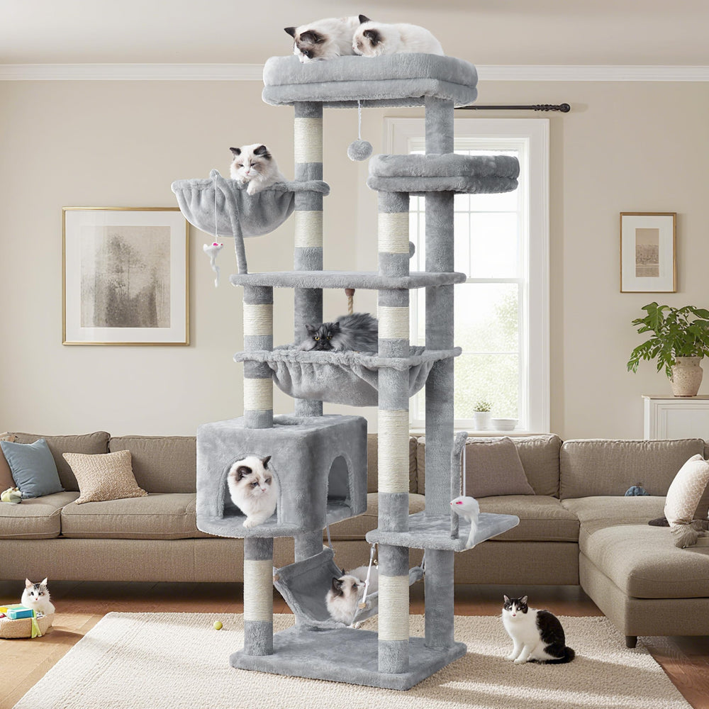 Gitelsnour cat-tree 63-inch height offers elevated viewing and exploration.