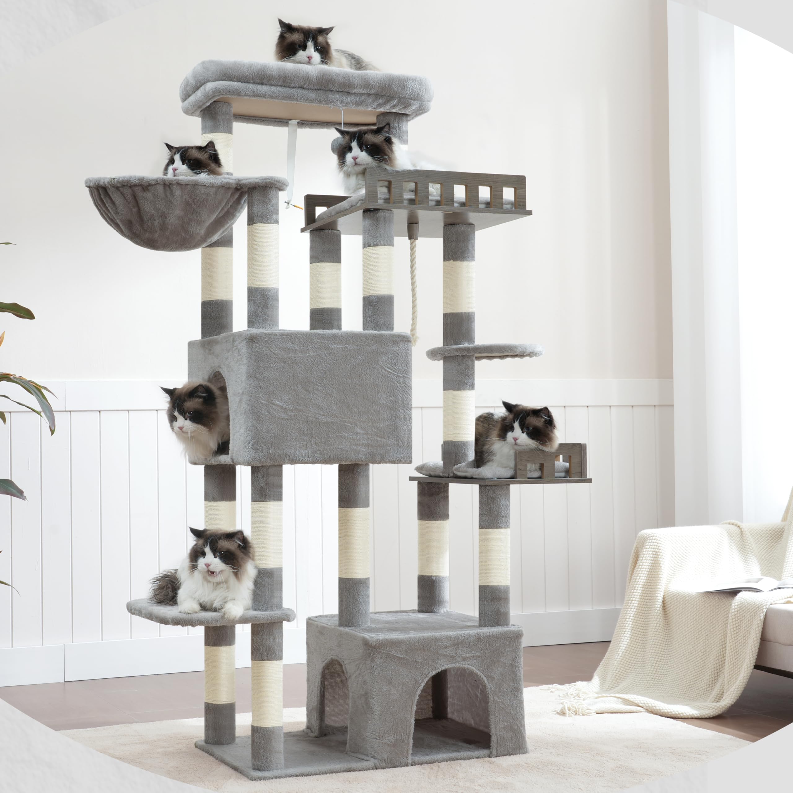 Gitelsnour cat tree caves provide large resting and hiding spaces