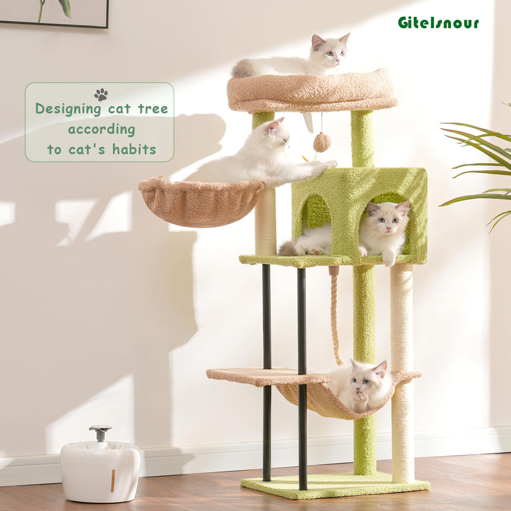 Gitelsnour cat tree hammock offers a relaxing perch and play for kittens.