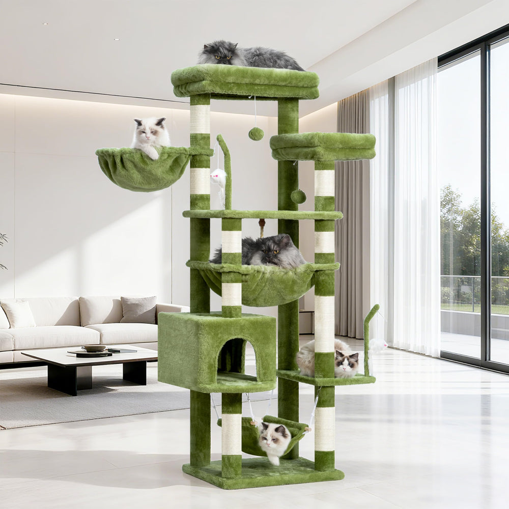 Gitelsnour cat tree placed in living room, inviting indoor cats to explore.