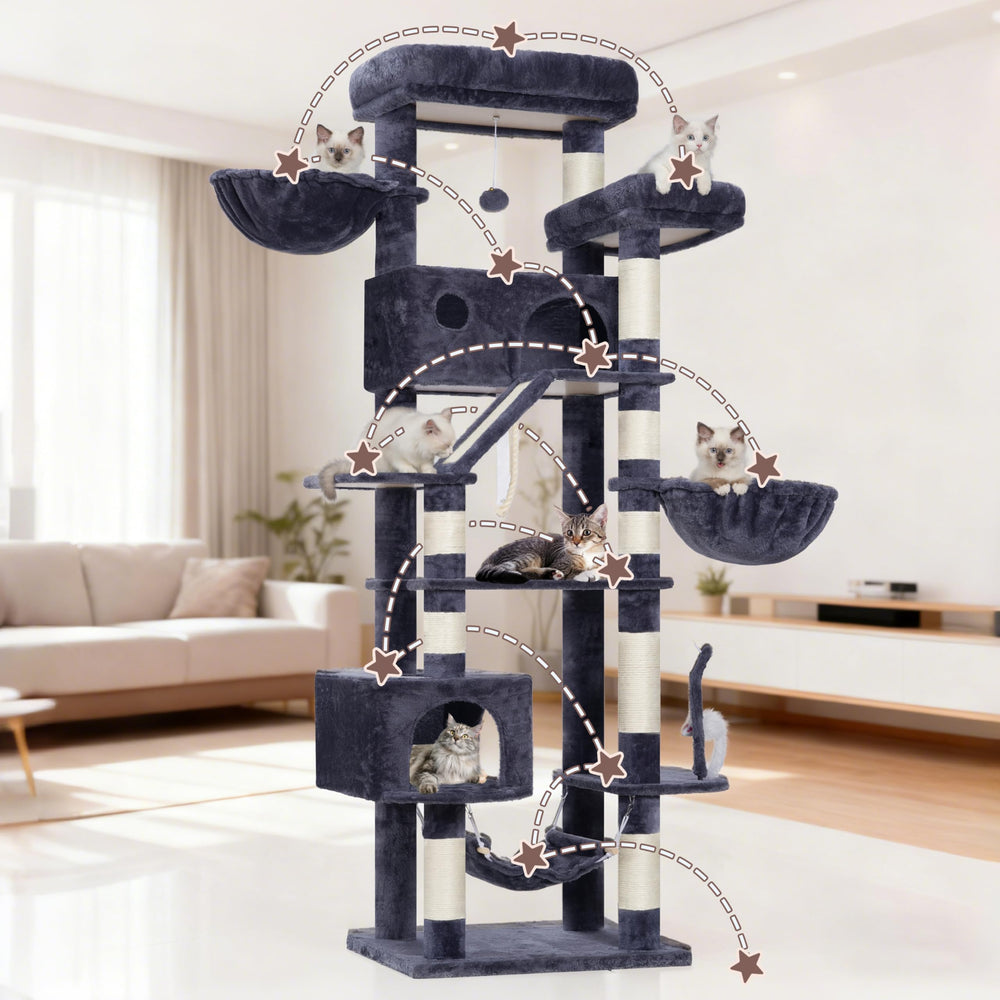 Gitelsnour cat tree play spaces invite active play and exploration.