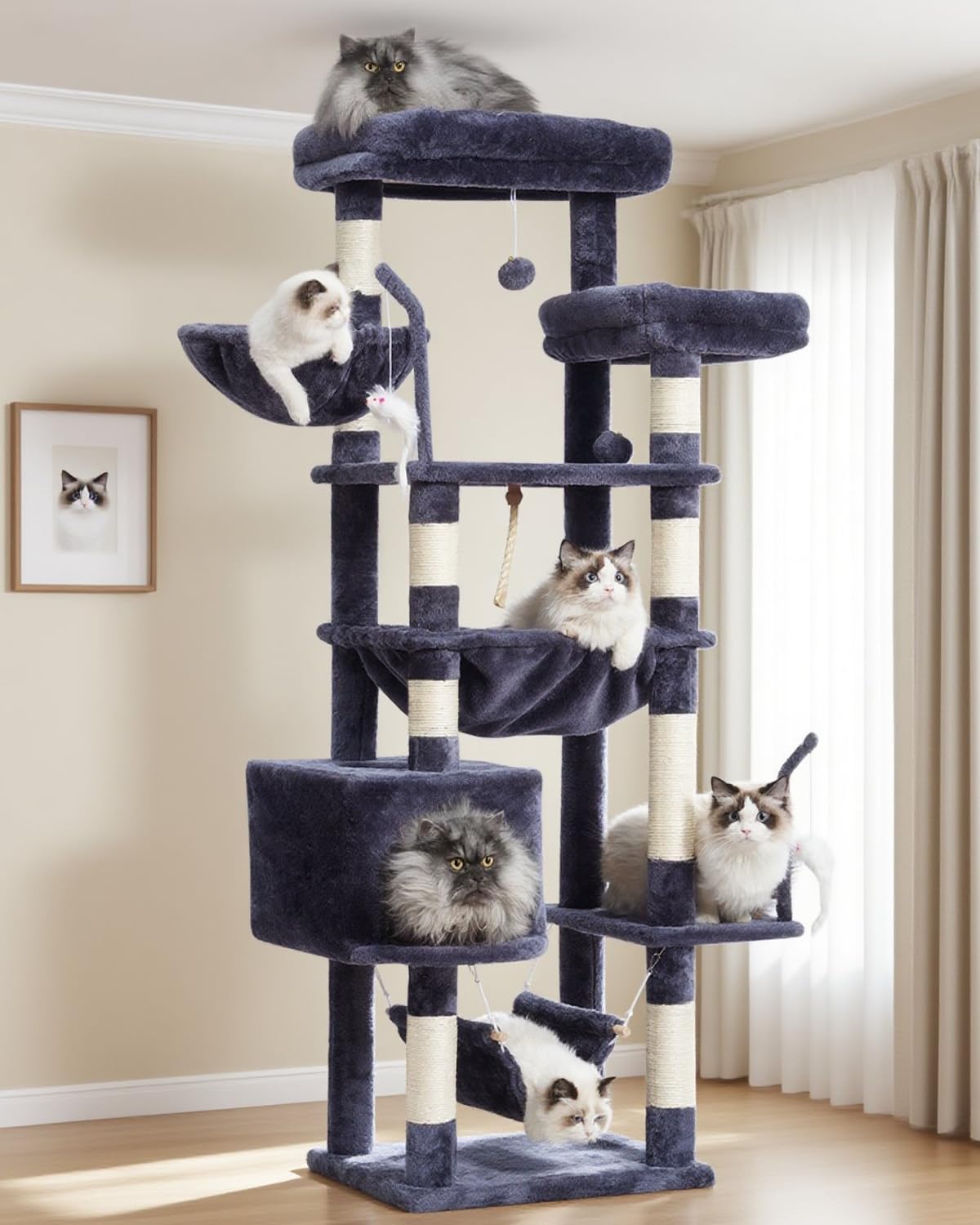 Gitelsnour cat tree base provides sturdy lounging and observation
