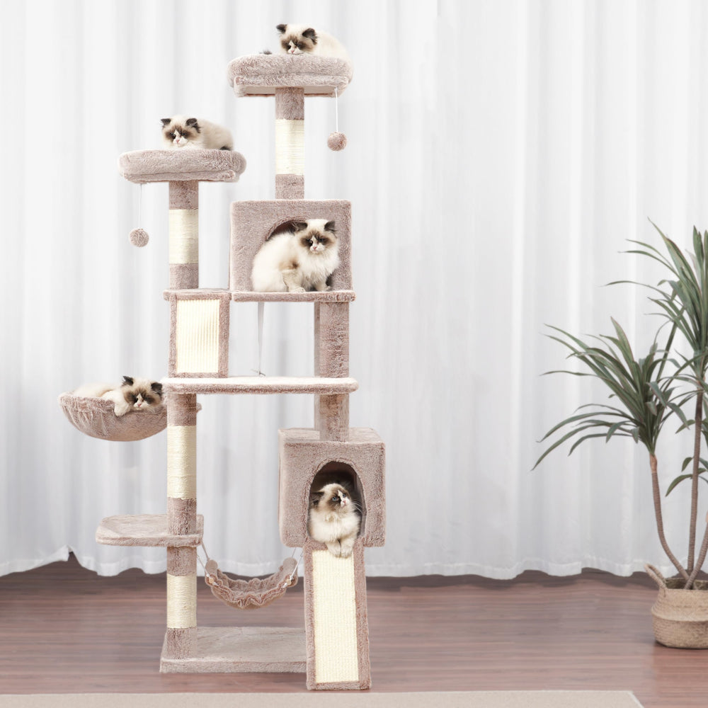 Gitelsnour cat tree suspended fur balls add interactive fun