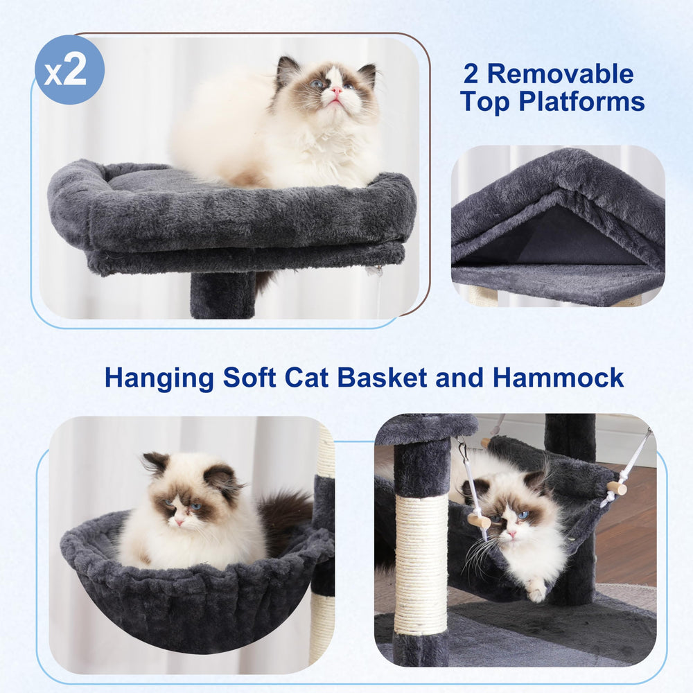 Gitelsnour cat tree top platforms provide elevated viewpoints