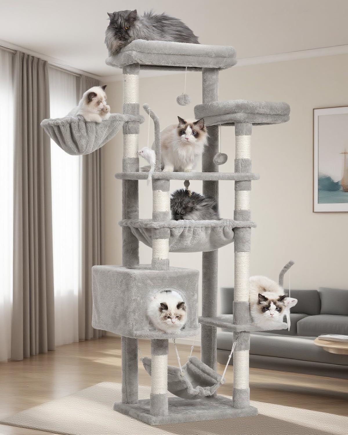 Gitelsnour cat-tree top platforms provide cozy lounging and room surveillance.