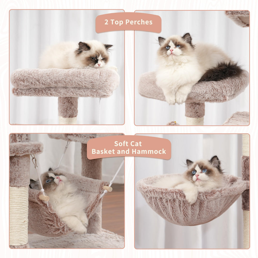 Gitelsnour cat tree top platforms provide vantage points