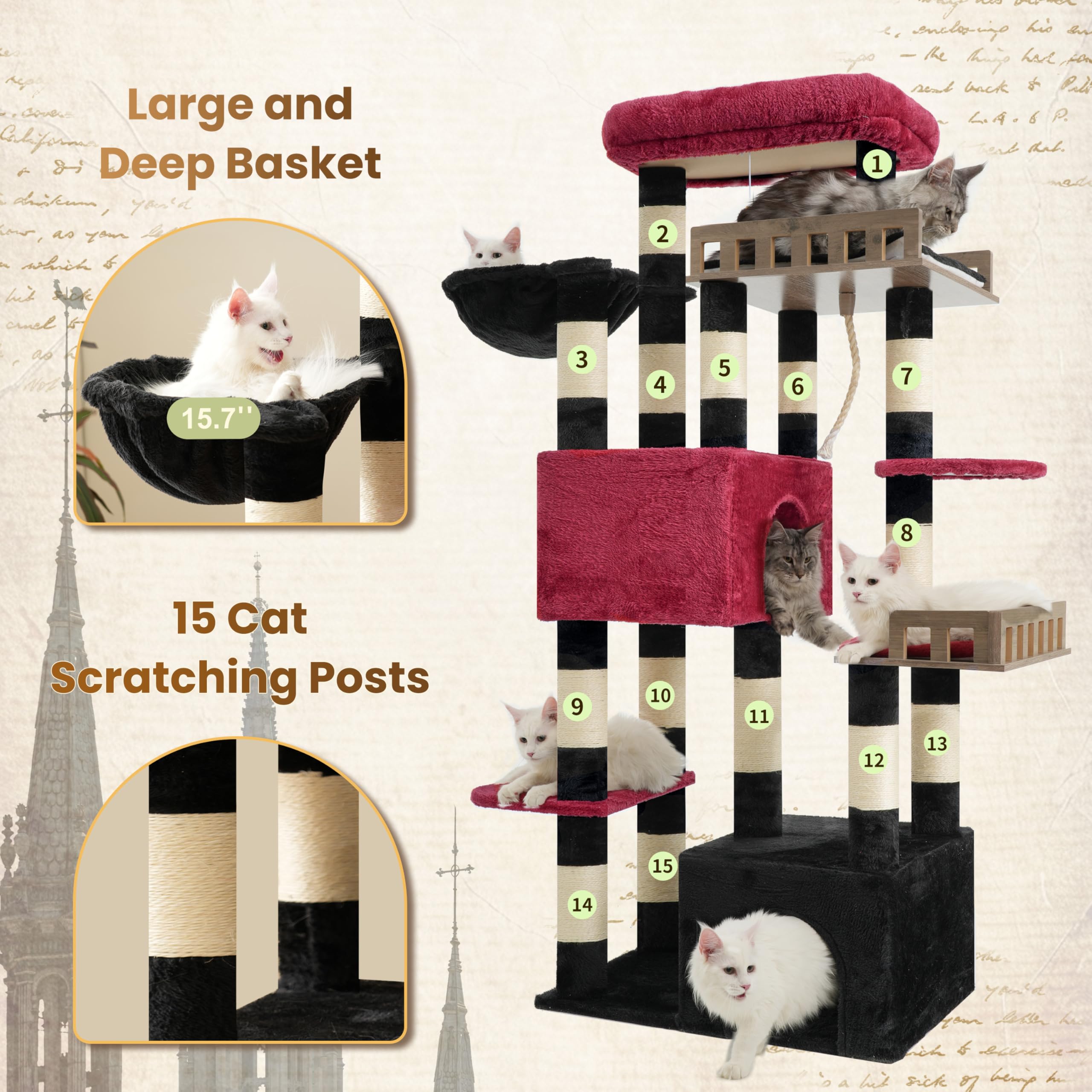 Gitelsnour large-cat caves with hammock offer secure, cozy retreats
