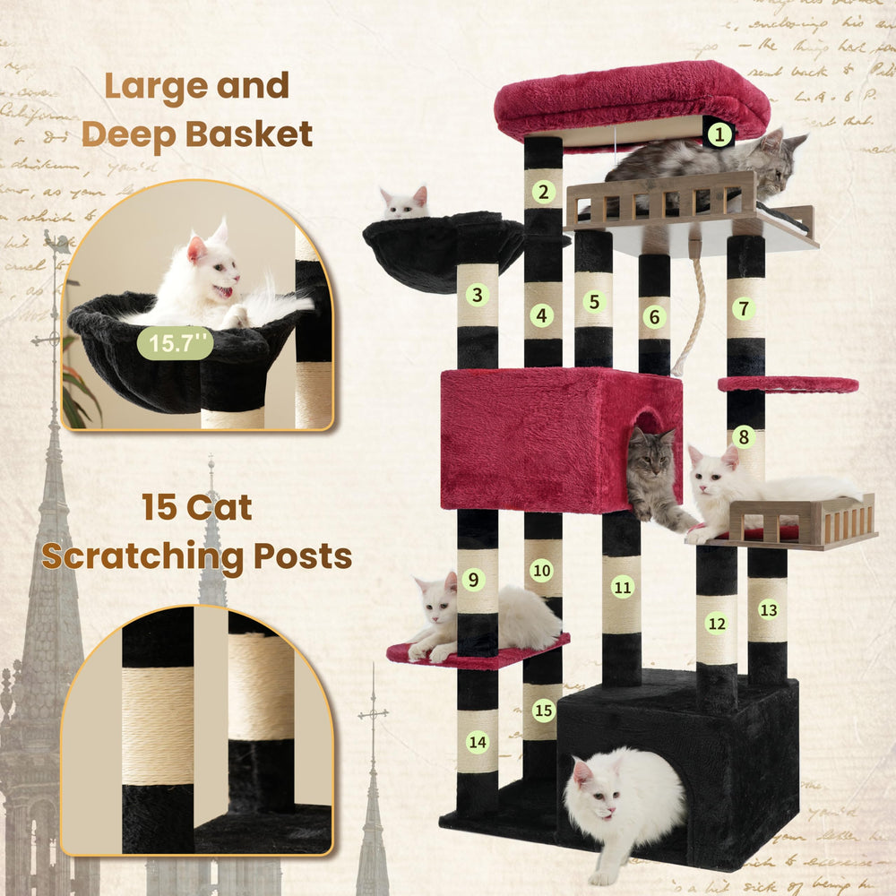 Gitelsnour large-cat caves with hammock offer secure, cozy retreats