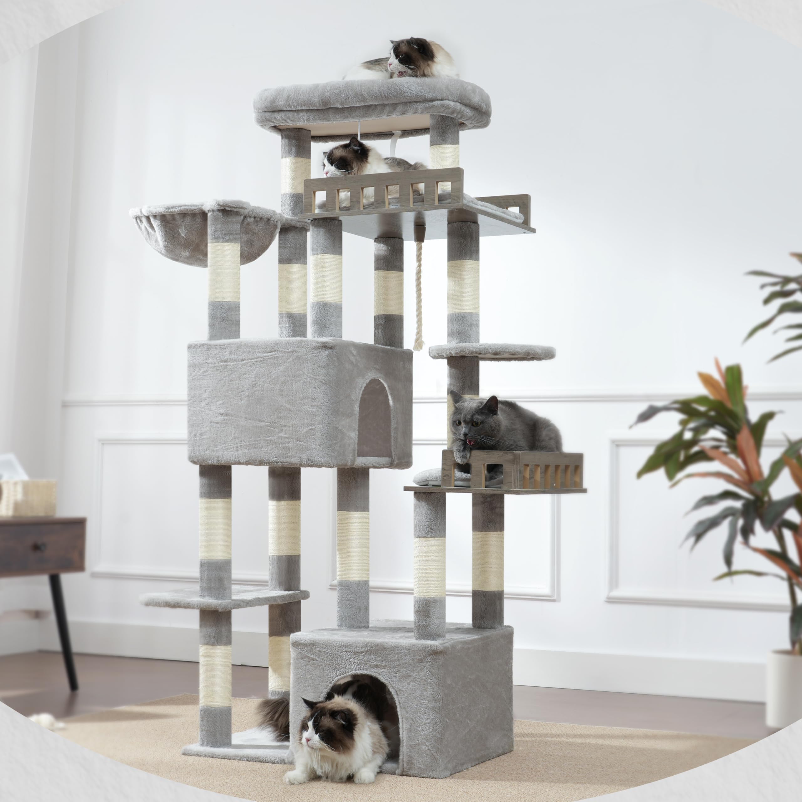 Gitelsnour Maine Coon Cat Tree area designed for large cats up to 20 lbs+