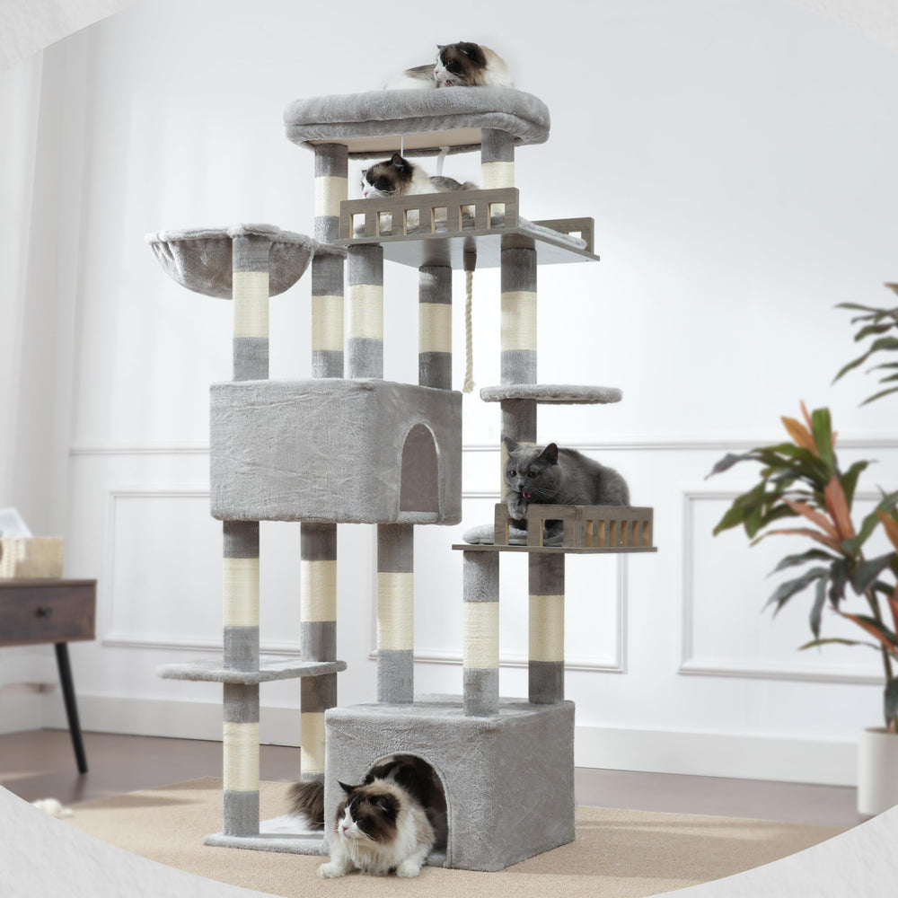 Gitelsnour Maine Coon Cat Tree area designed for large cats up to 20 lbs+