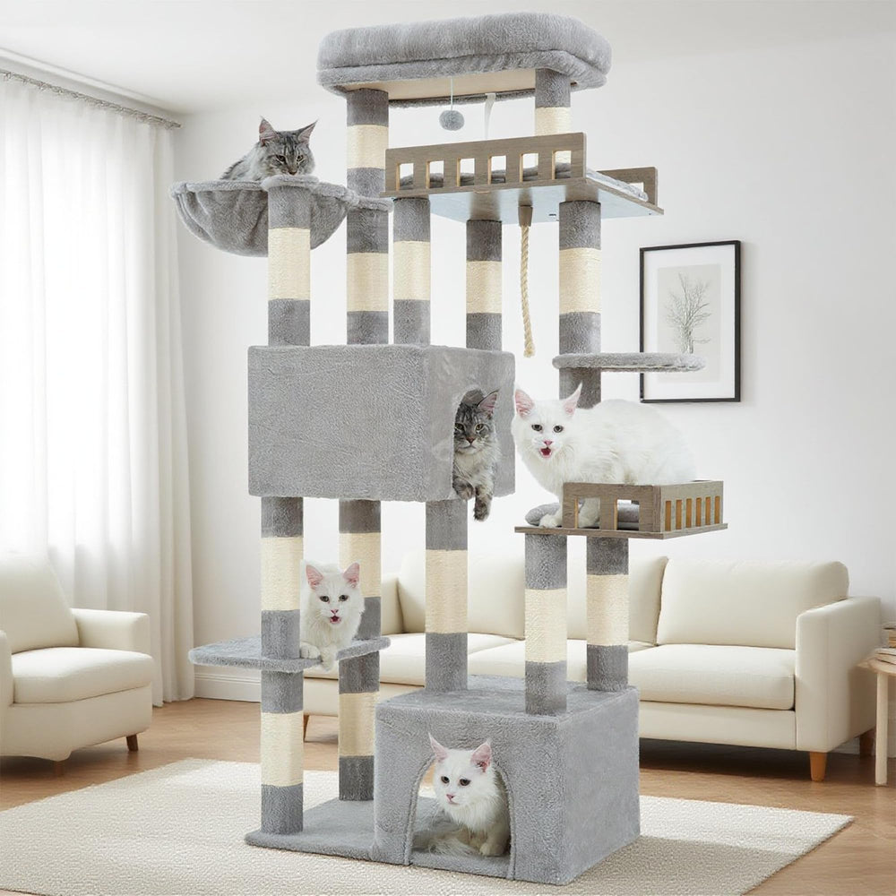 Gitelsnour Maine Coon Cat Tree top perch offers spacious lounging for big cats