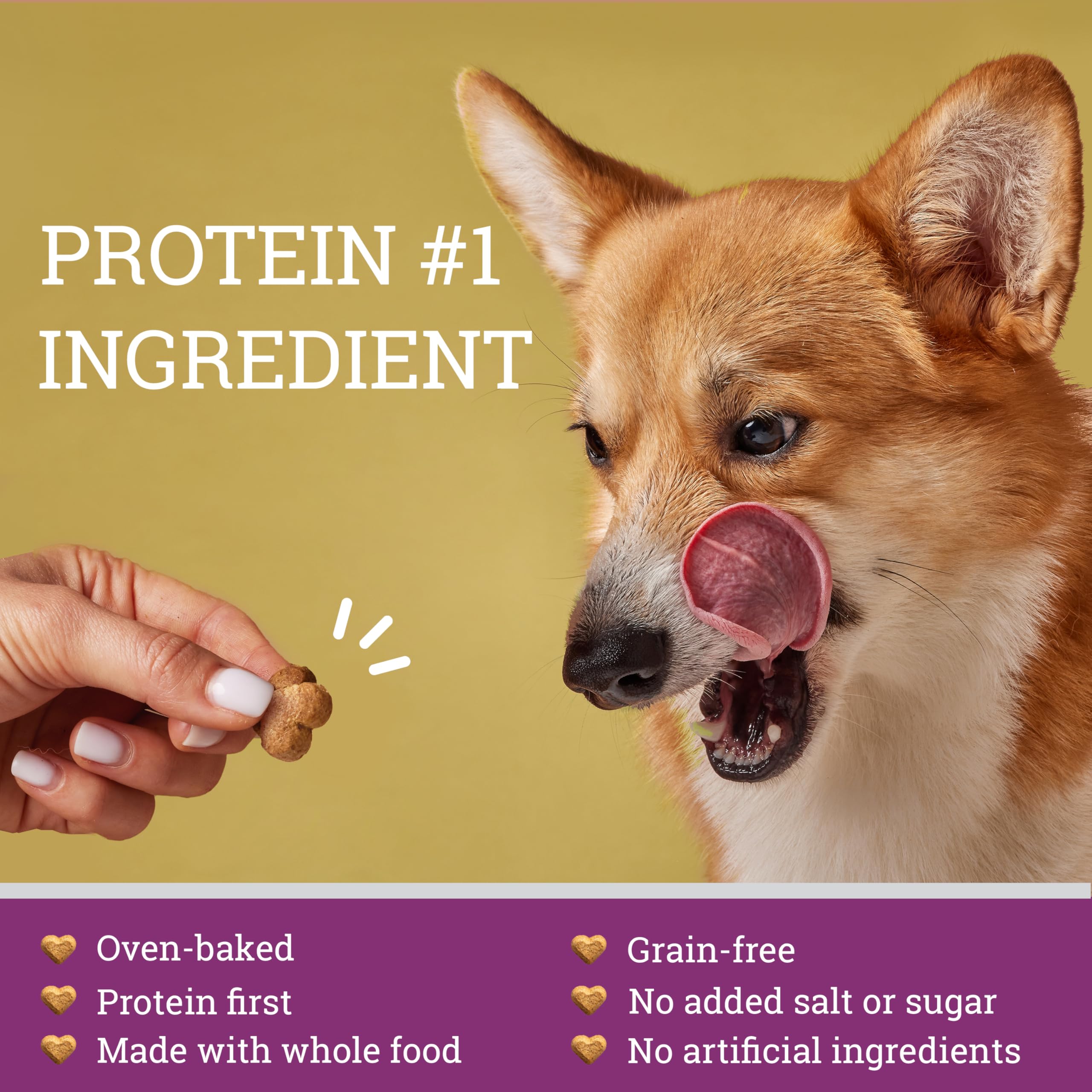 GivePet Doghouse Rock con ingredientes vegetales para una dieta equilibrada.