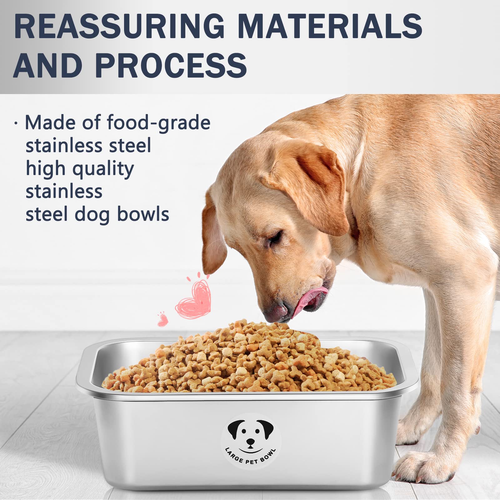 GIXSEGIE two-in-one bowl reduces clutter in multi-dog homes.