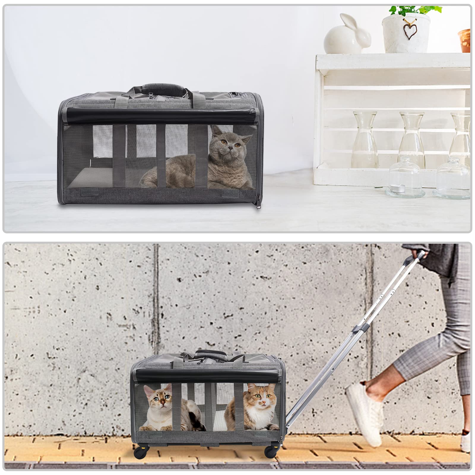 GJEASE Cat Rolling Carrier soft bottom mats provide comfortable, safe resting.