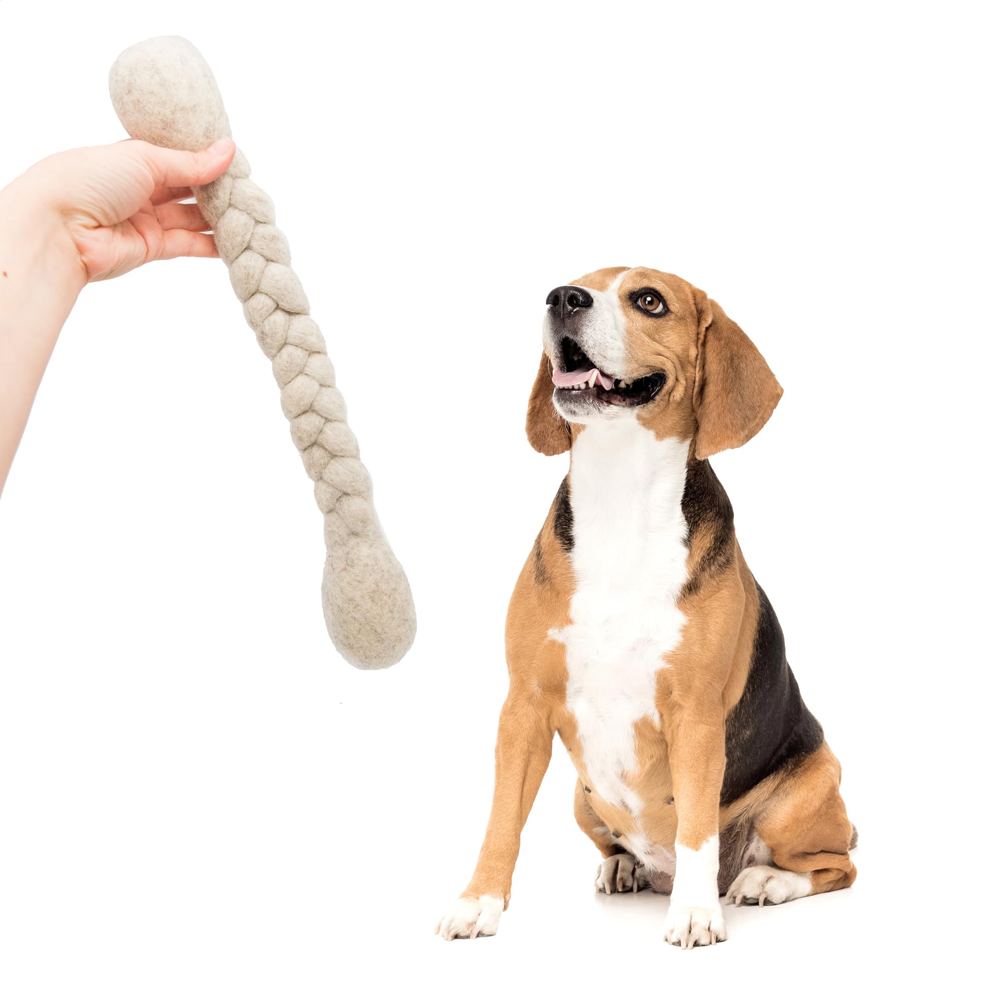 Glaciart One tug-and-fetch scene emphasizes long-lasting wool durability.