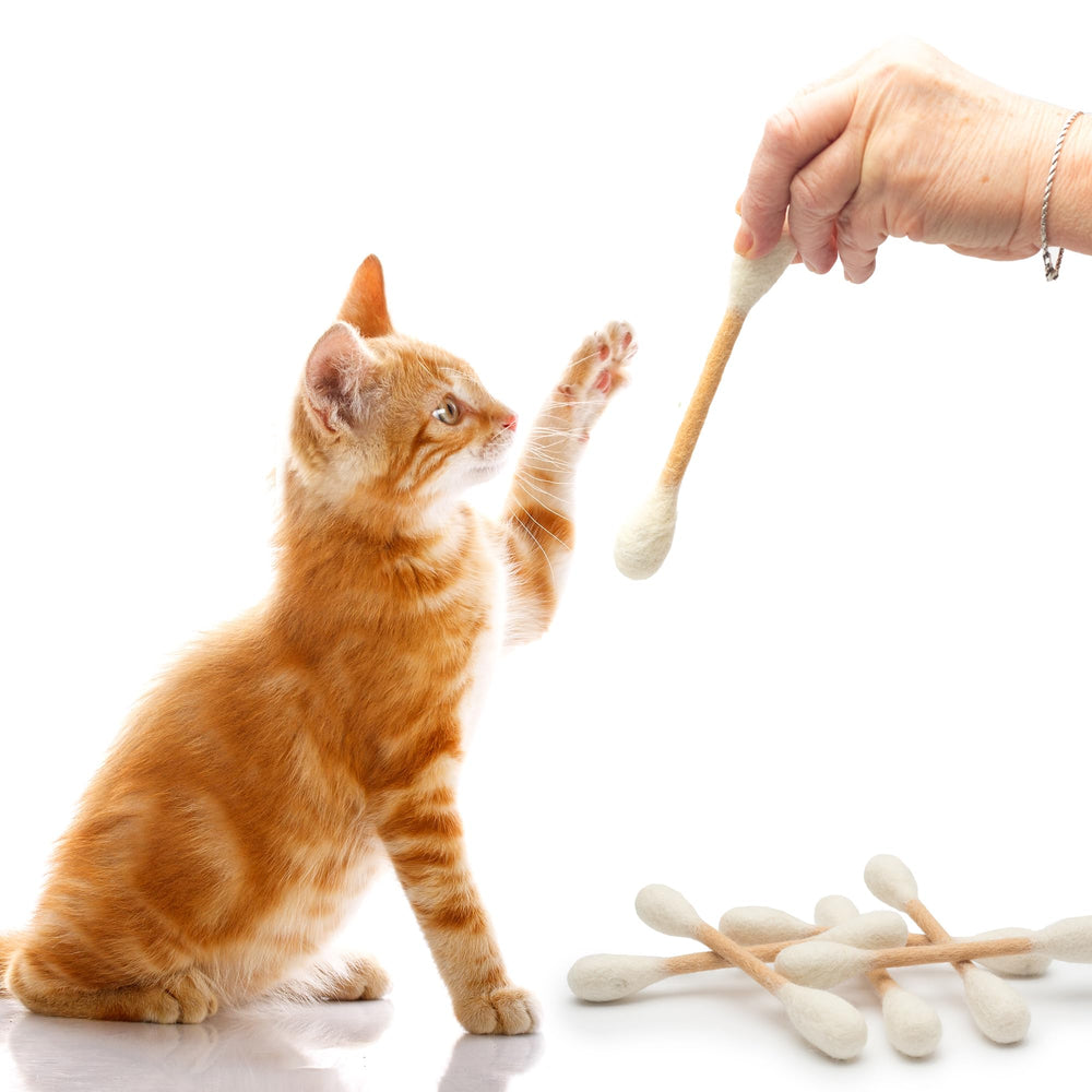 Glaciart One Swabs Cat Toys with Catnip in action demonstrates kitten engagement and exercise