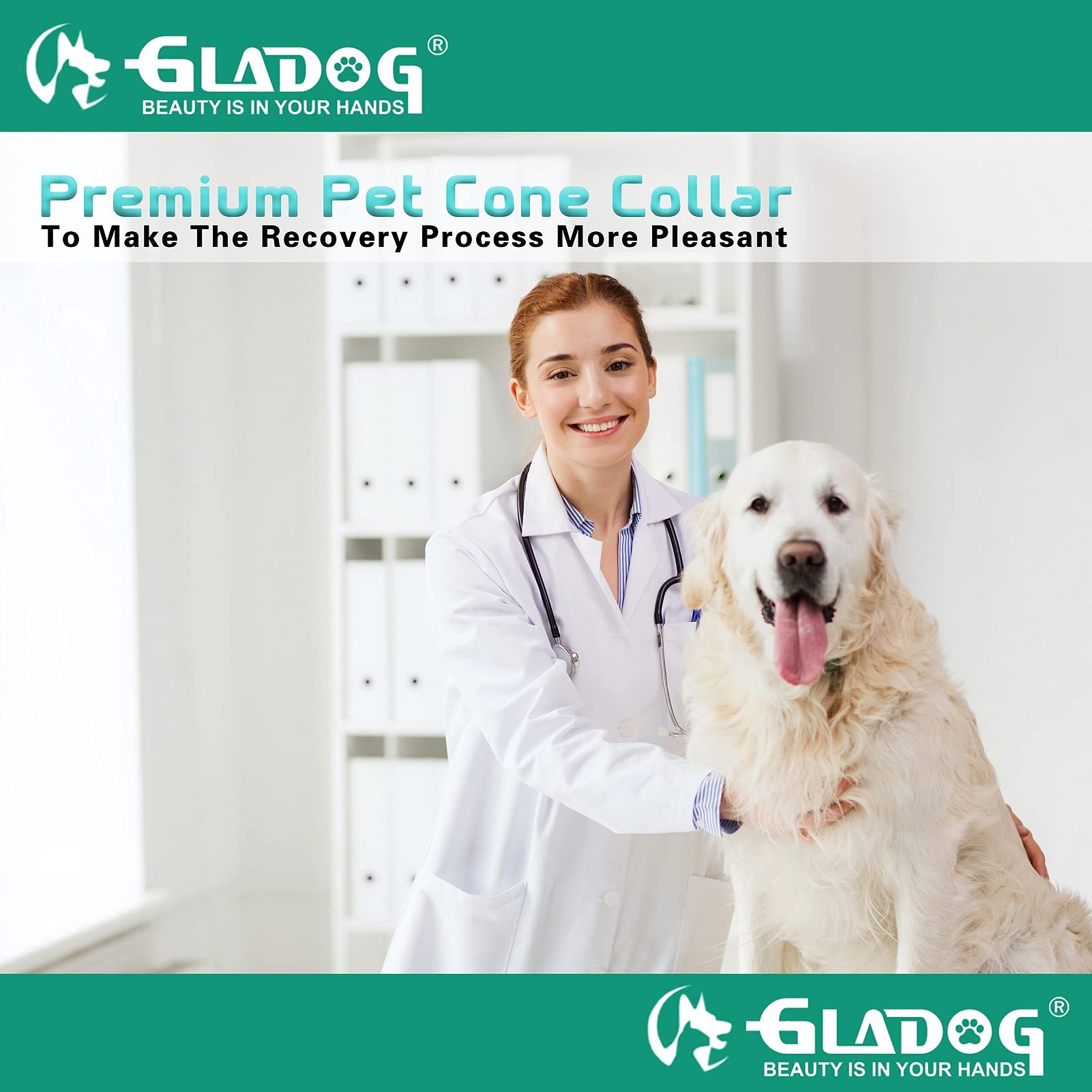 GLADOG Collar cono suave ideal para uso doméstico y recuperación