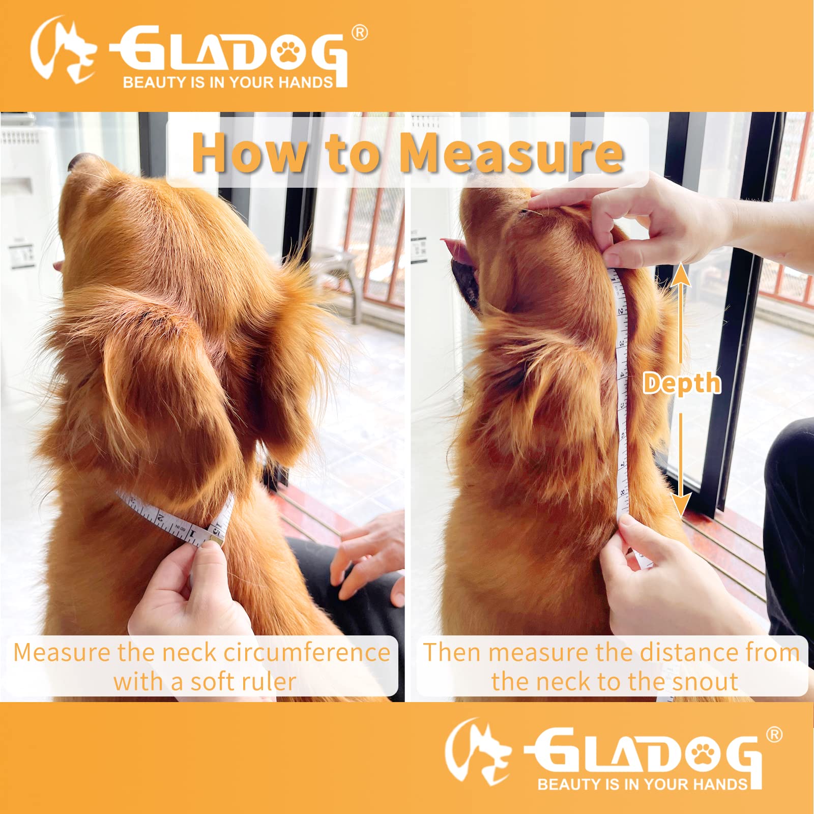 GLADOG soft dog cone collar adjustable strap demonstration