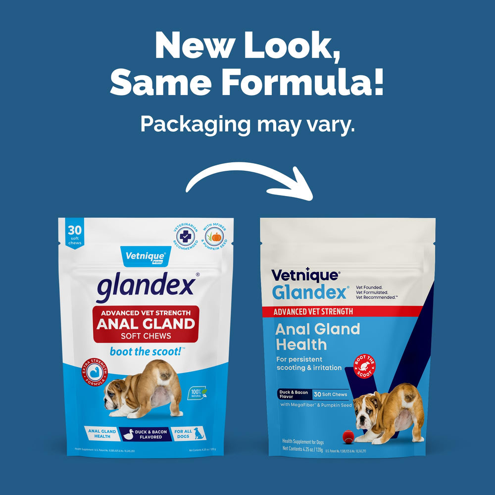 Glandex advanced-strength duck-bacon chews for chronic anal gland comfort.