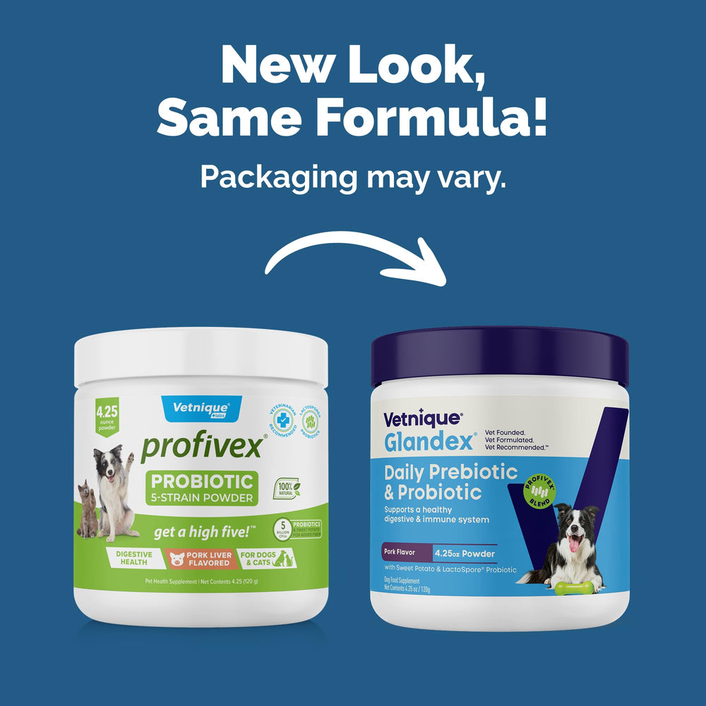 Glandex bacon-flavored probiotic chews shown as tasty treats supporting daily gut balance
