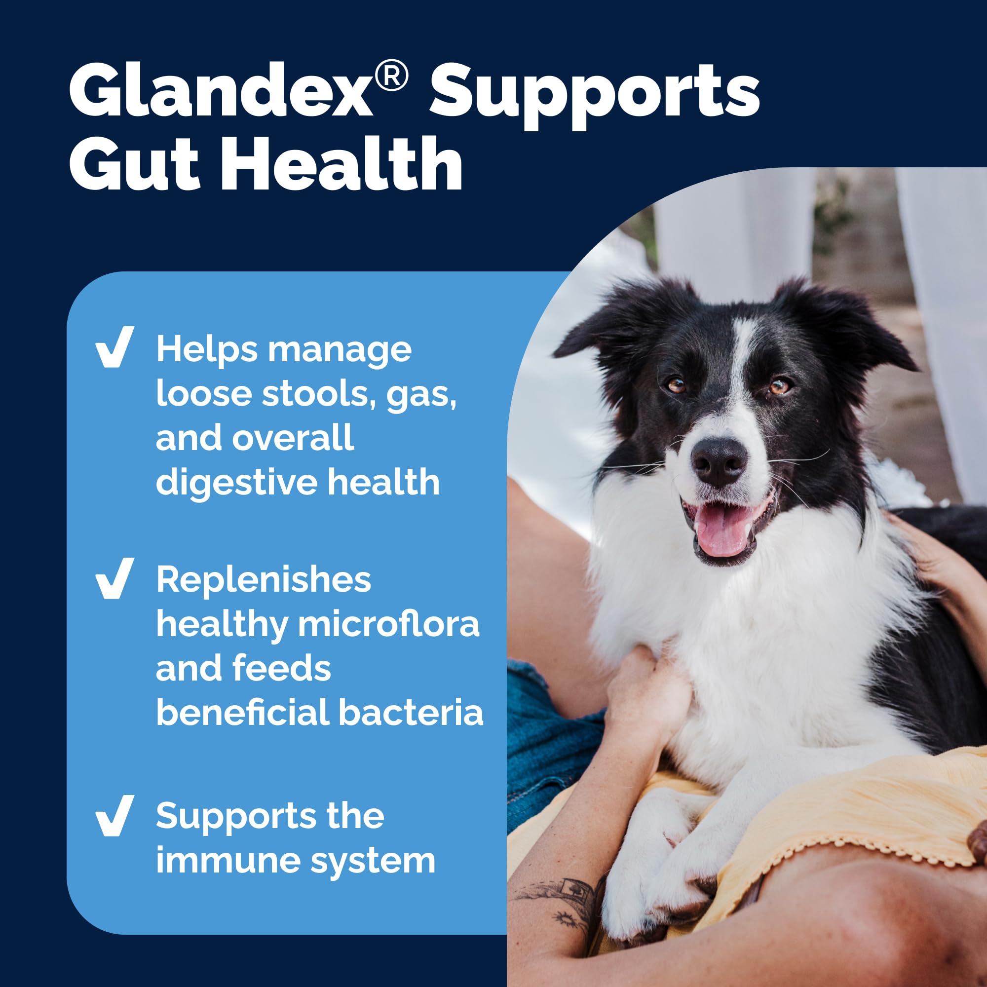 Vetnique Glandex ingredients – bottle close-up showcases natural probiotic blend.