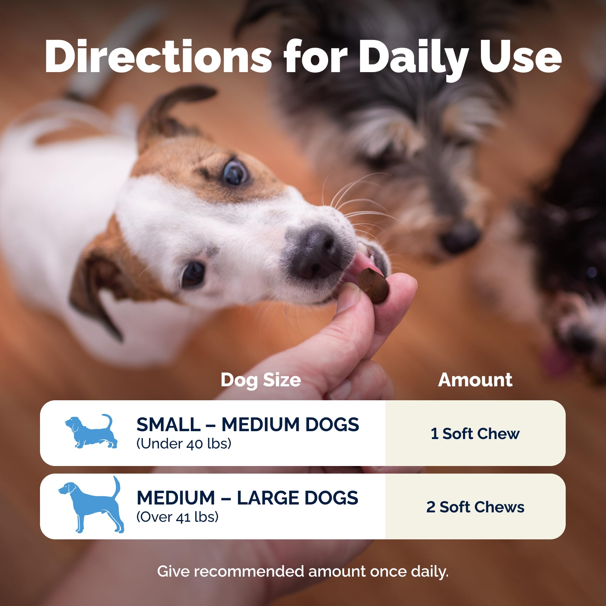 Vetnique Glandex – prebiotics and fiber visual hint for gut health.