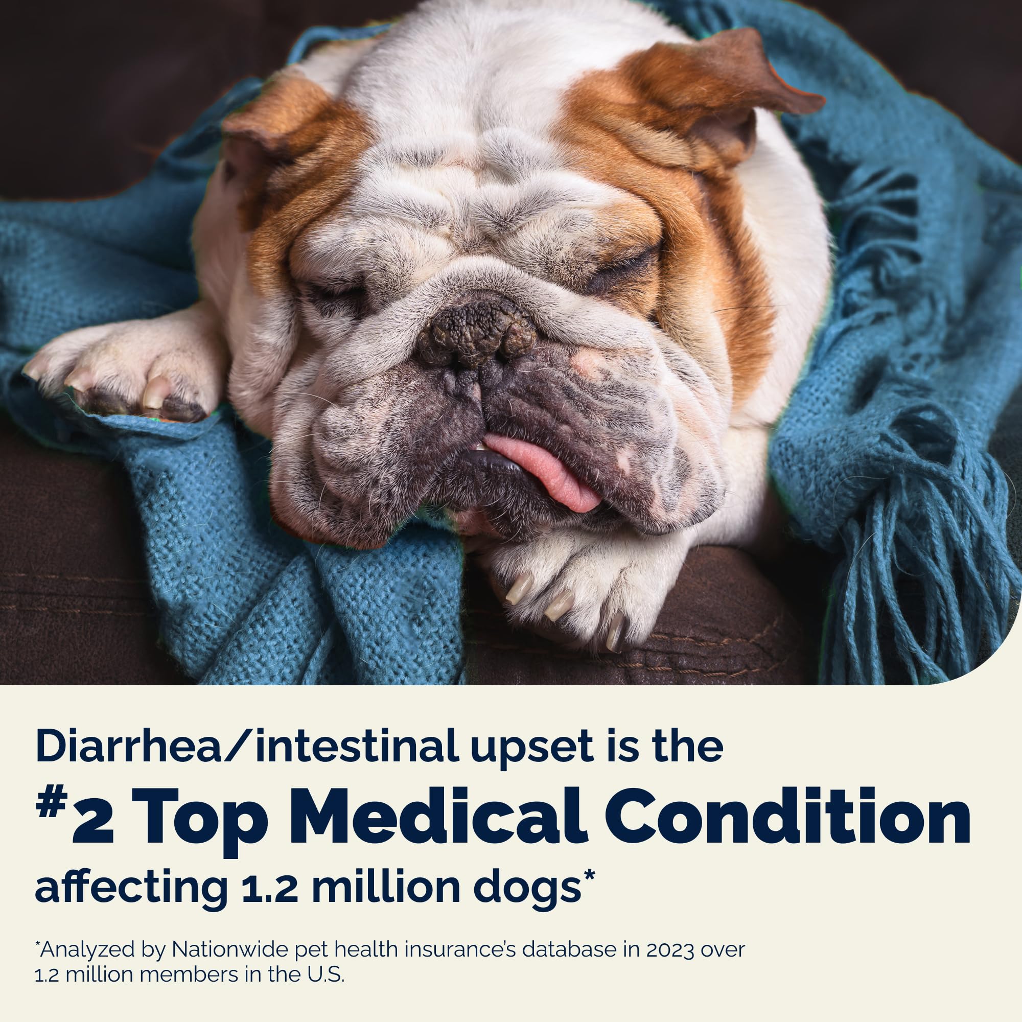 Vetnique Glandex daily probiotics – serving image highlights easy daily use for dogs.