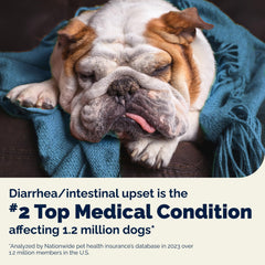 Vetnique Glandex daily probiotics – serving image highlights easy daily use for dogs.