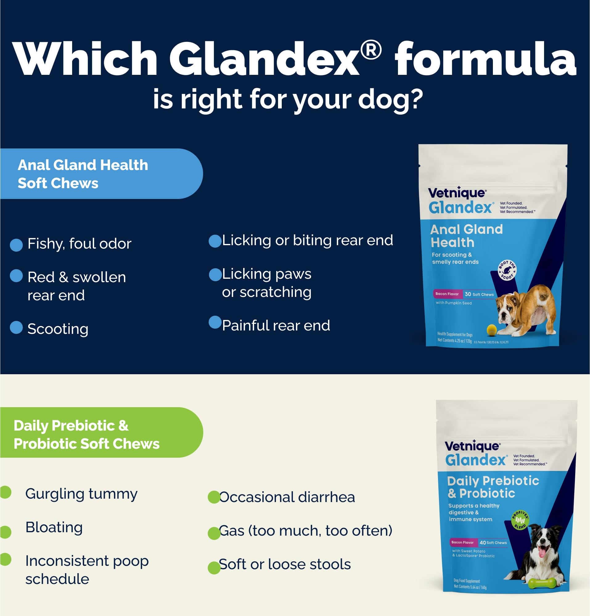 Vetnique Glandex – image with vet-recommended badge supports trust.